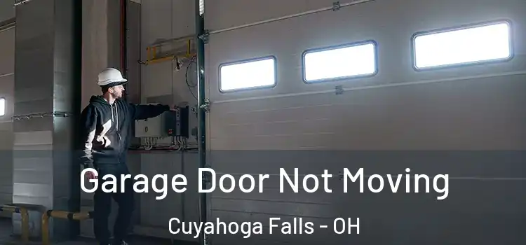  Garage Door Not Moving Cuyahoga Falls - OH
