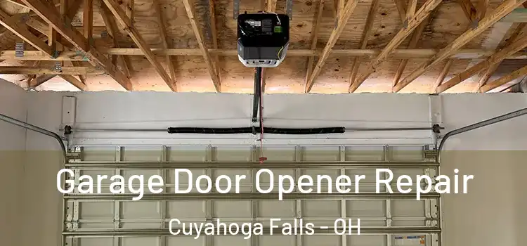  Garage Door Opener Repair Cuyahoga Falls - OH